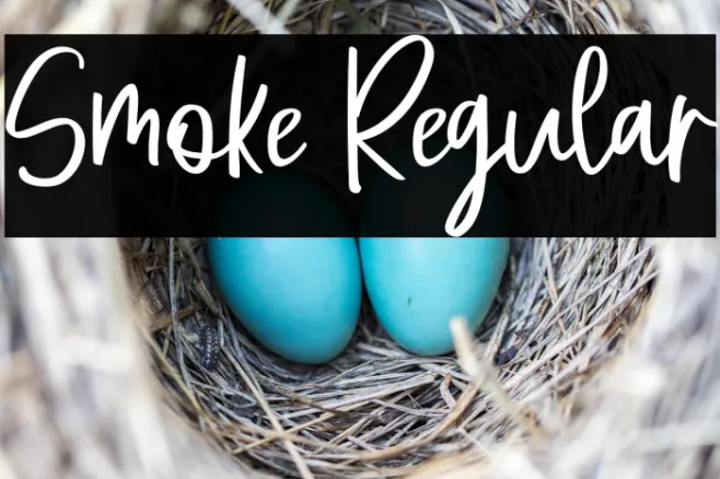 Smoke Regular Example 3