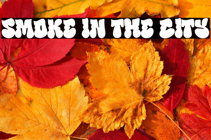 Smoke in the City Example 1