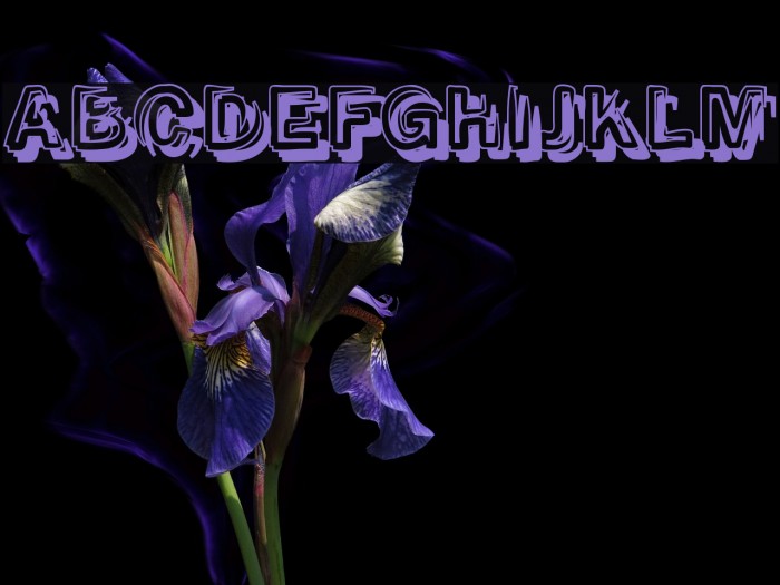 SmokeShadow-Medium Font examples