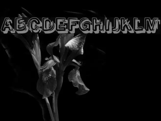 SmokeShadow-Medium Fonte examples