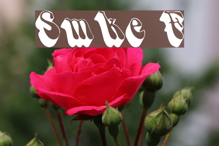 Smoke Font examples