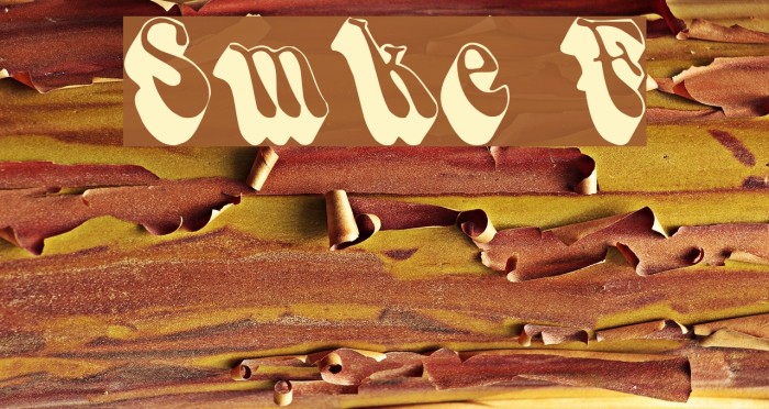 Smoke Font examples