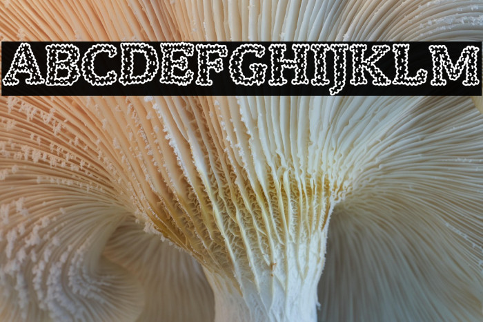 Smoked Fine Example 3