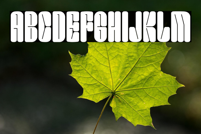 Smokey Brown DEMO Example 1