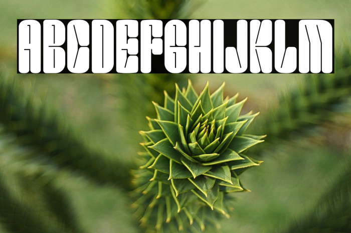 Smokey Brown DEMO Example 2