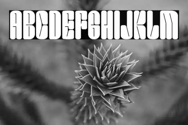 Smokey Brown DEMO Font examples