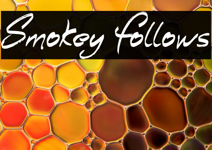 Smokey Follows Example 1