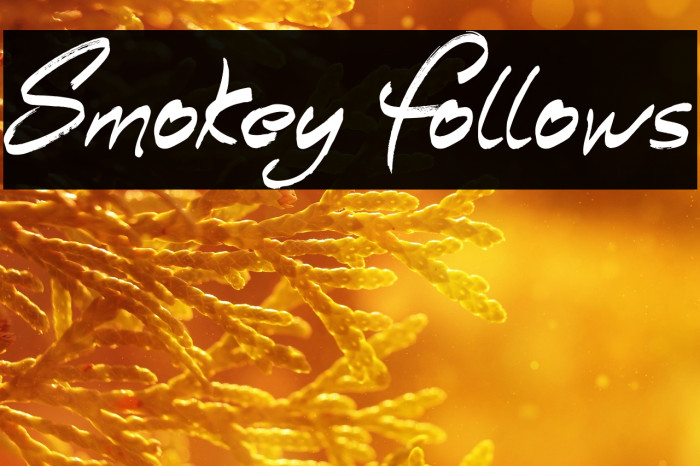 Smokey Follows Example 2