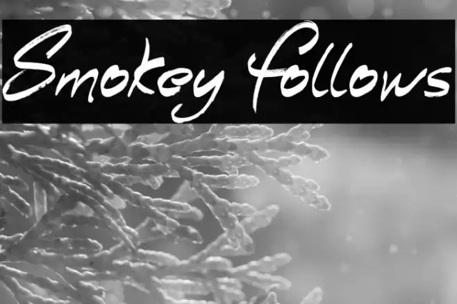 Smokey Follows Caratteri examples