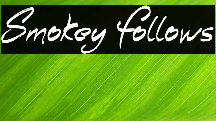 Smokey Follows Example 3