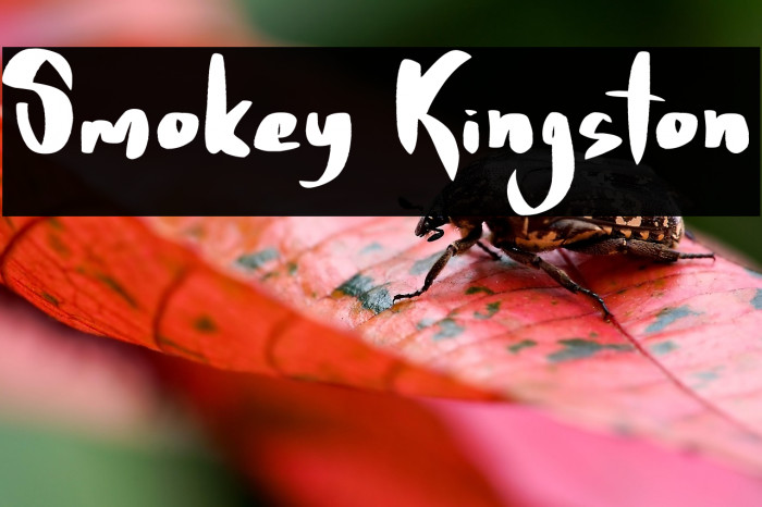 Smokey Kingston Example 3