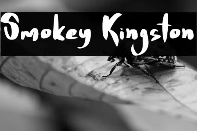 Smokey Kingston Caratteri examples