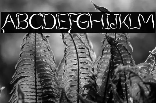 Smoking Tequila Font examples