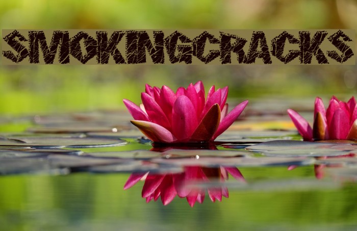 SmokingCracks Font examples