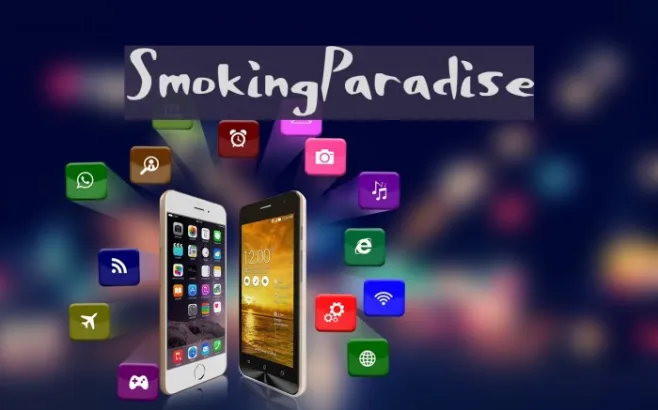 SmokingParadise Example 2