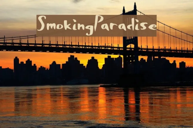 SmokingParadise Example 3
