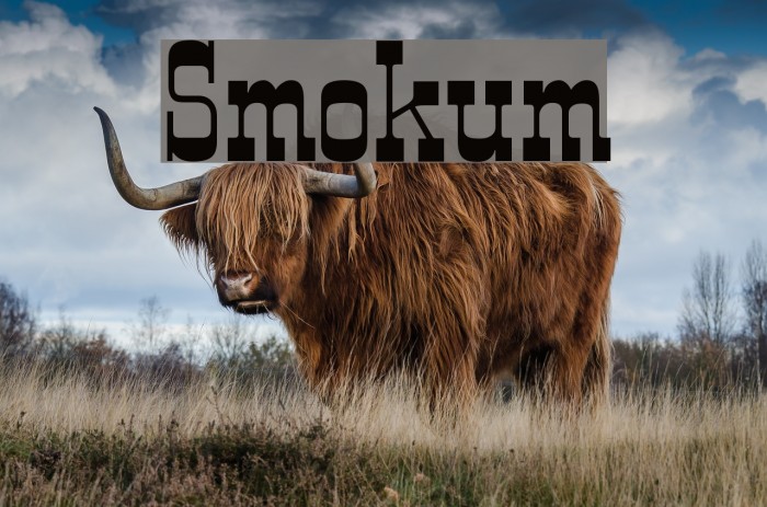 Smokum Font examples