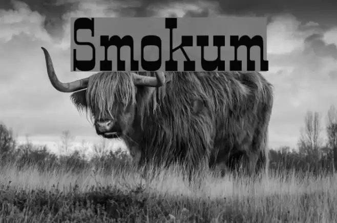 Smokum Font examples