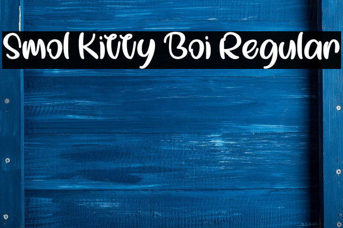 Smol Kitty Boi Regular Font examples