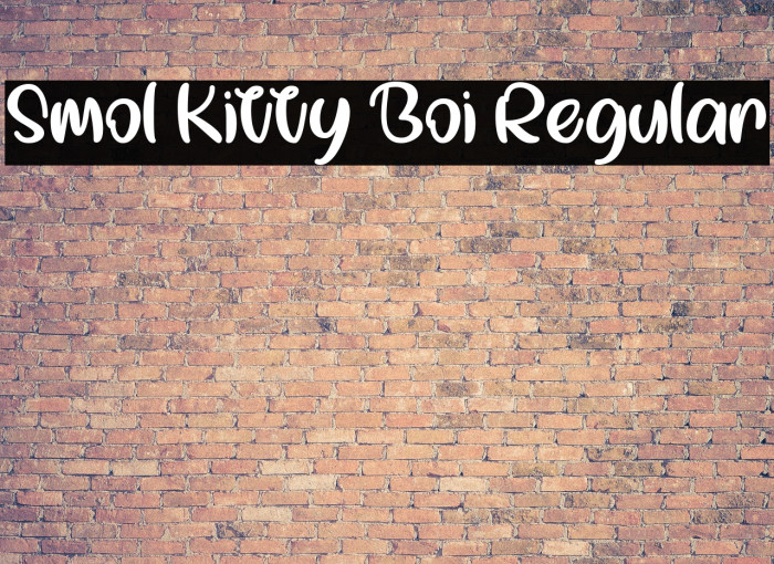 Smol Kitty Boi Regular Font examples