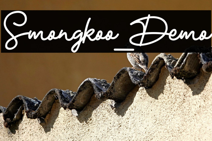 Smongkoo_Demo Example 3
