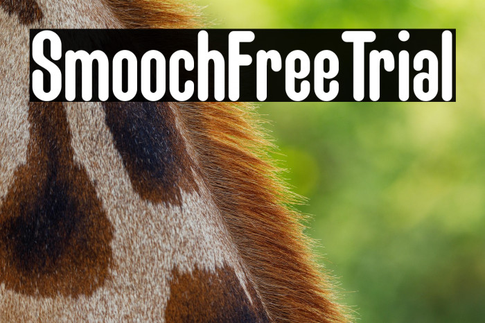 Smooch Free Trial Example 1