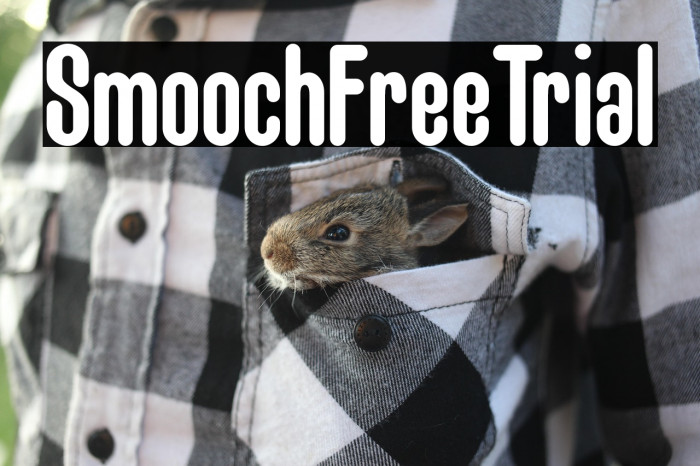 Smooch Free Trial Example 2