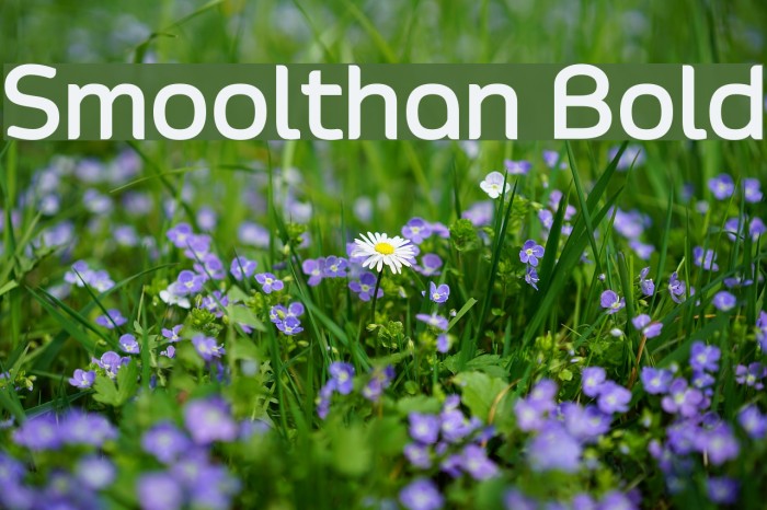 Smoolthan Bold لخطوط تنزيل examples