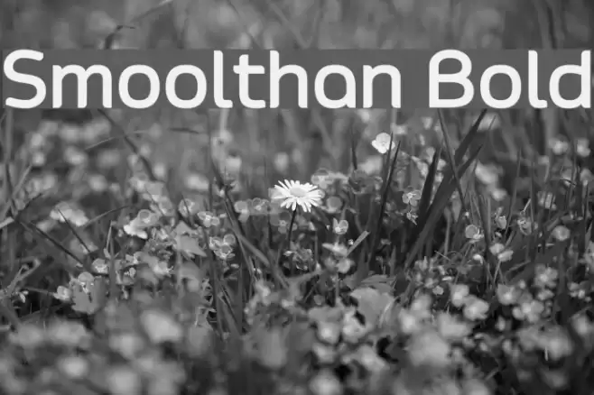 Smoolthan Bold خط examples