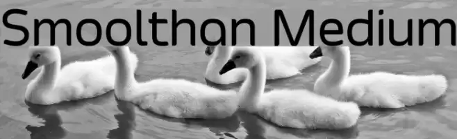 Smoolthan Medium Font examples