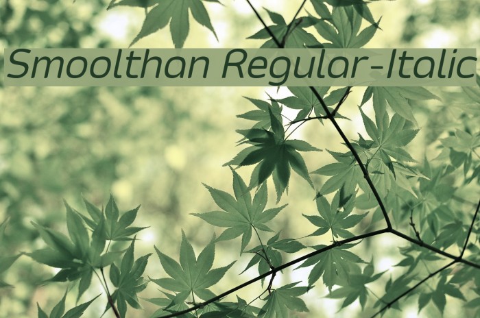 Smoolthan Regular-Italic Font examples