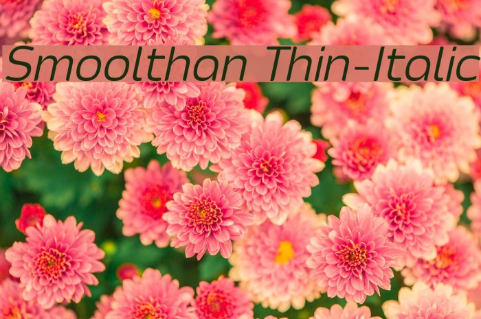 Smoolthan Thin-Italic Font examples