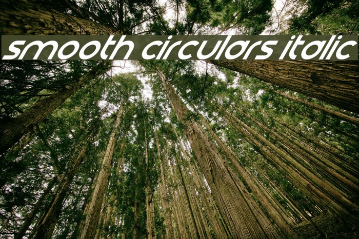 Smooth Circulars Italic Шрифта examples