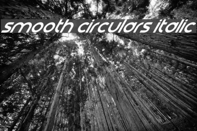 Smooth Circulars Italic Шрифта examples