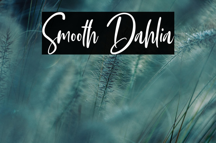 Smooth Dahlia Example 2
