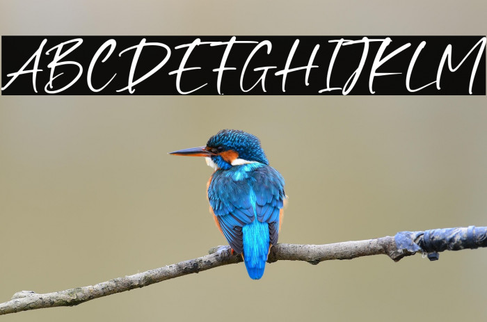 Smooth Destiny Example 1