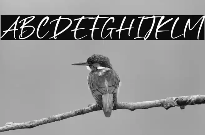 Smooth Destiny Fonte examples