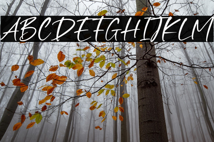 Smooth Destiny Example 2