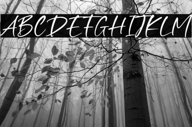 Smooth Destiny Fonte examples