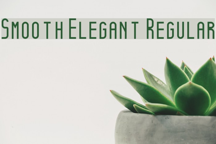 Smooth Elegant Regular Font examples