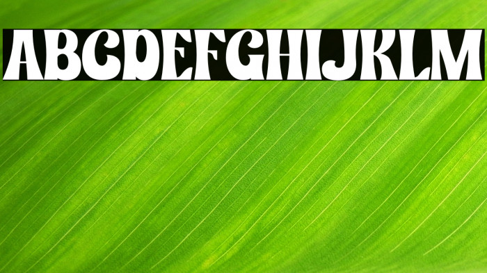 Smooth Gracier Personal Use Example 1