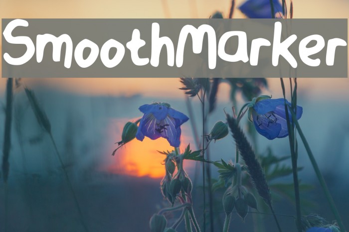 Smooth Marker Example 1