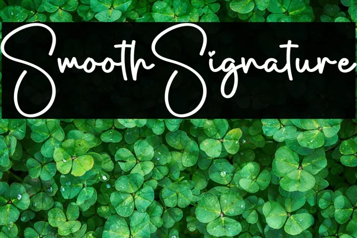 Smooth Signature Example 2