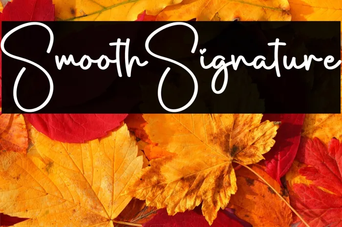 Smooth Signature Example 3