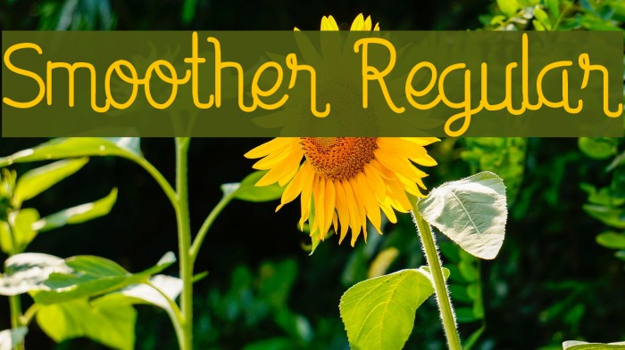 Smoother Regular Example 2