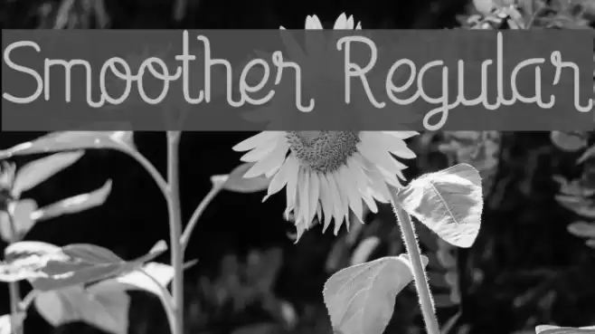 Smoother Regular Font examples
