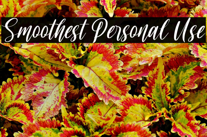 Smoothest Personal Use Example 3