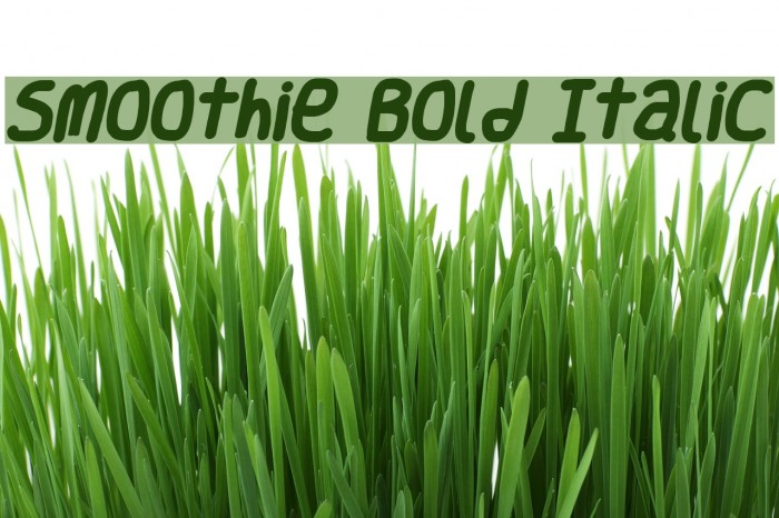 Smoothie Bold Italic Font examples