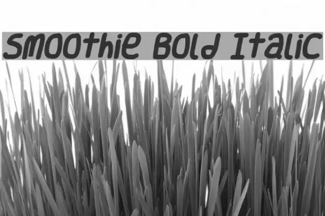 Smoothie Bold Italic Font examples