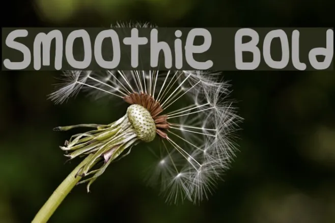Smoothie Bold Example 2